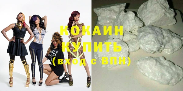 шишки Сатка