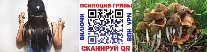 купить   Ясный  Псилоцибиновые грибы мухоморы 
