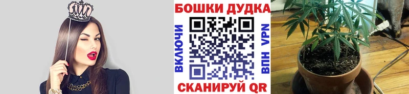 что такое   Ясный  МЕГА ТОР  Шишки марихуана конопля 